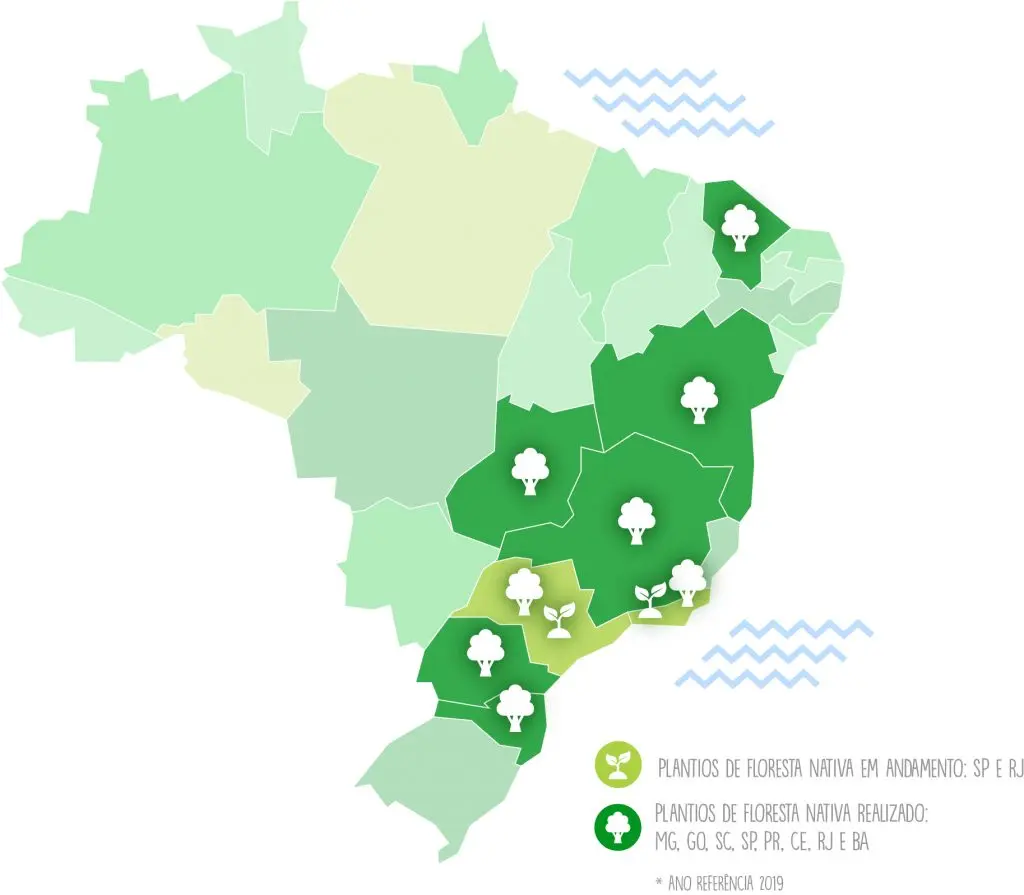 Reflorestamento Ambiental